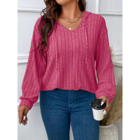 Solid Color Plus Size Women's Tops V-Neck Hooded Long Sleeves 6
